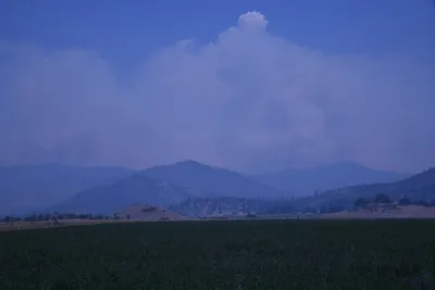 DSC_1860 (Large).JPG